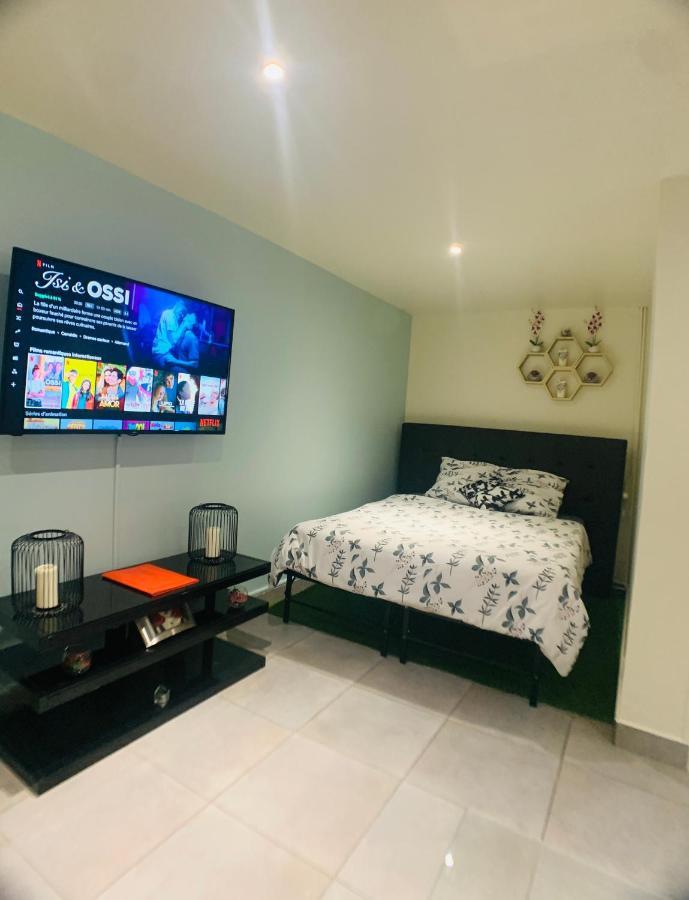 Appartement Cosy Proche Roissy Cdg Asterix Disneyland Paris Goussainville  Eksteriør bilde